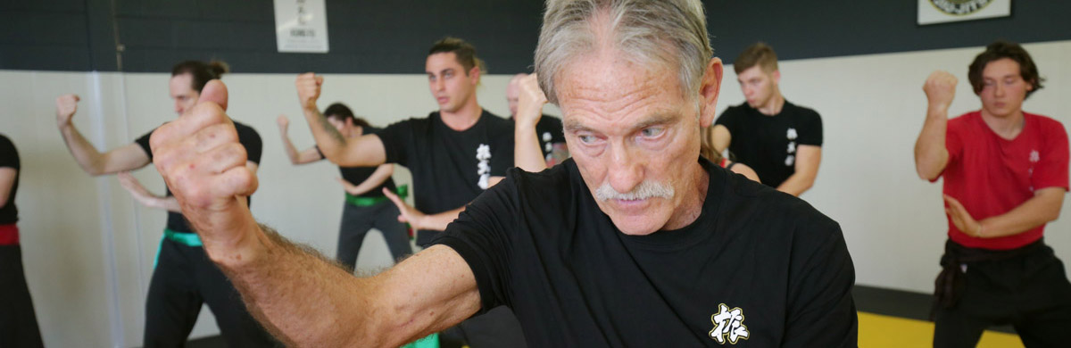 Mick Spinks teaching traditional Kung Fu